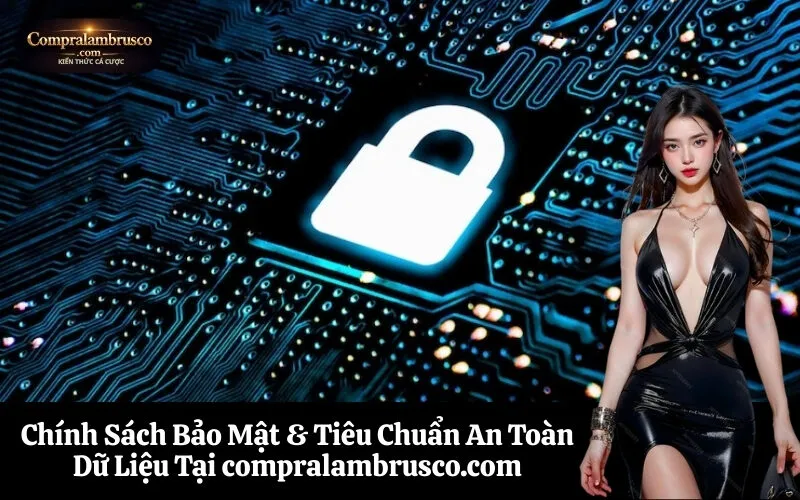 Chính Sách Bảo Mật & Tiêu Chuẩn An Toàn Dữ Liệu Tại compralambrusco.com