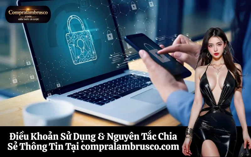 Điều Khoản Sử Dụng & Nguyên Tắc Chia Sẻ Thông Tin Tại compralambrusco.com