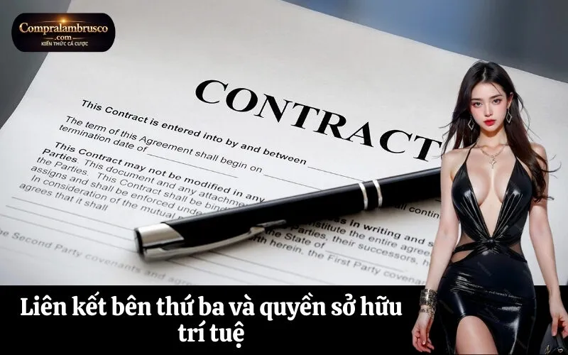 Liên kết bên thứ ba và quyền sở hữu trí tuệ